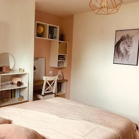 Maison Familiale Et Spacieuse Avec Piscine * Mios